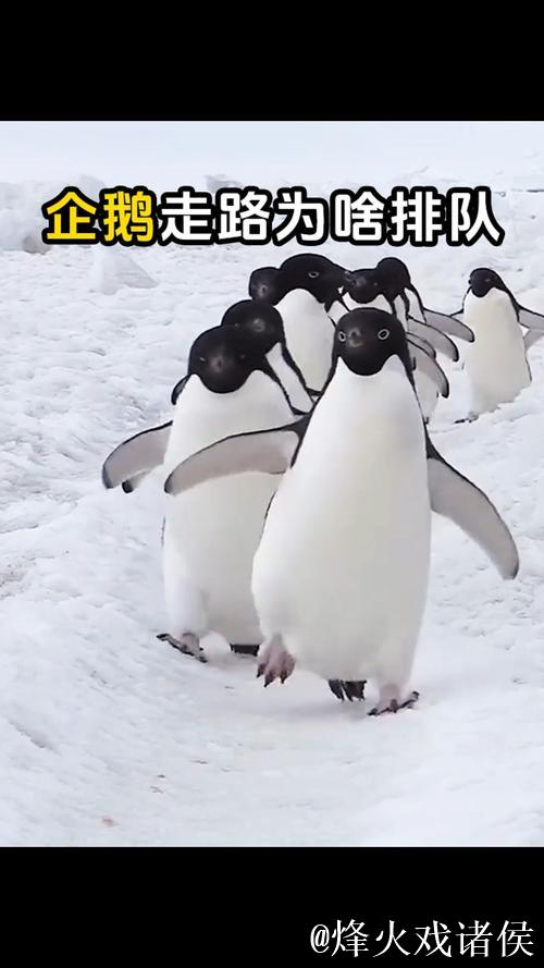 金沙娱乐城官网